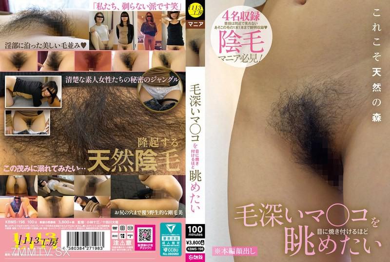 KBMS-198 毛深い陰道讓人希望能凝視久一點 素人 素人